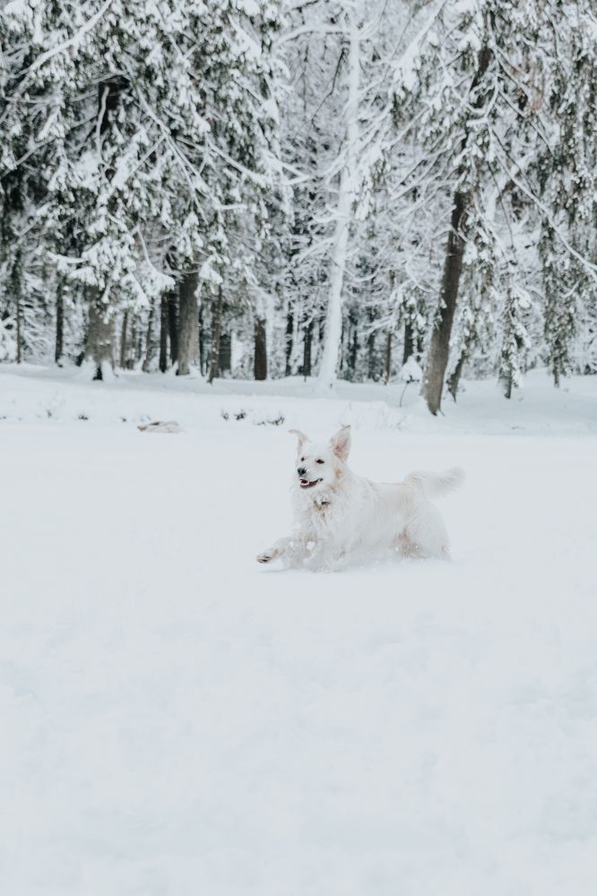 Photograph by Надежда Онищенко