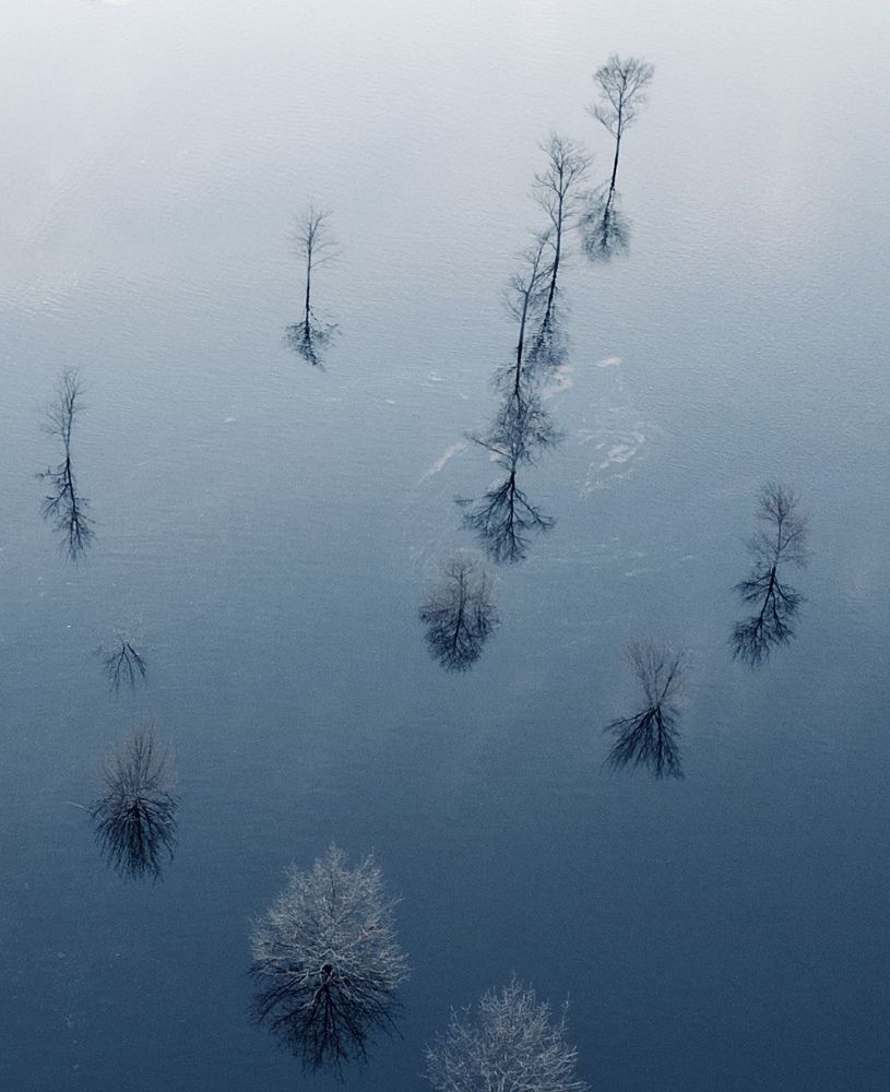 Photograph by Diana Karp