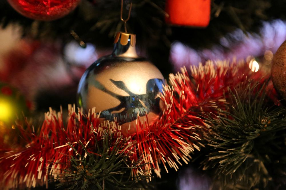 Photograph by София Лаврентьева