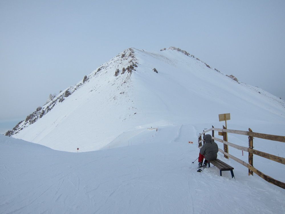 Photo #11667508