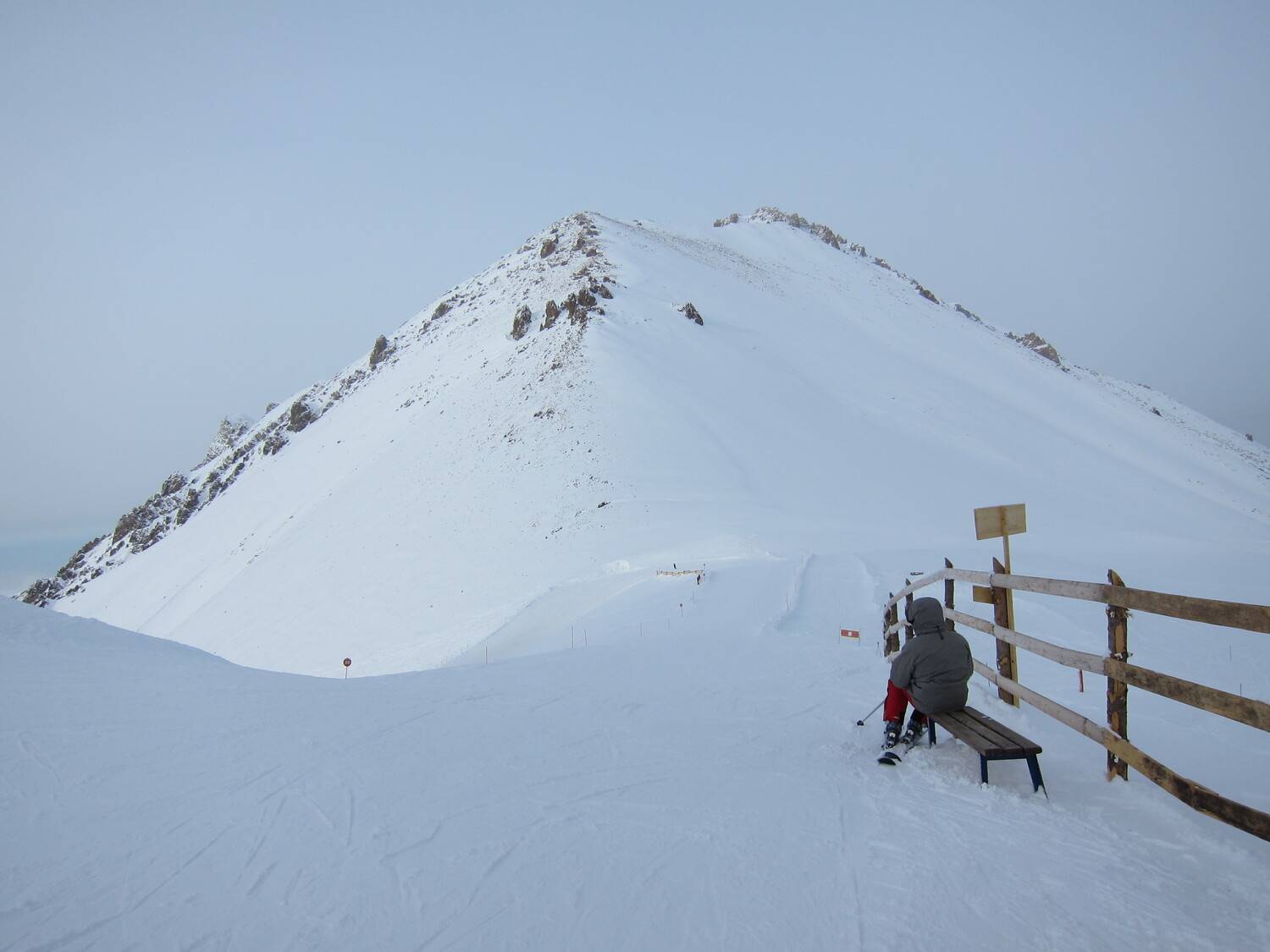Photo #11667508