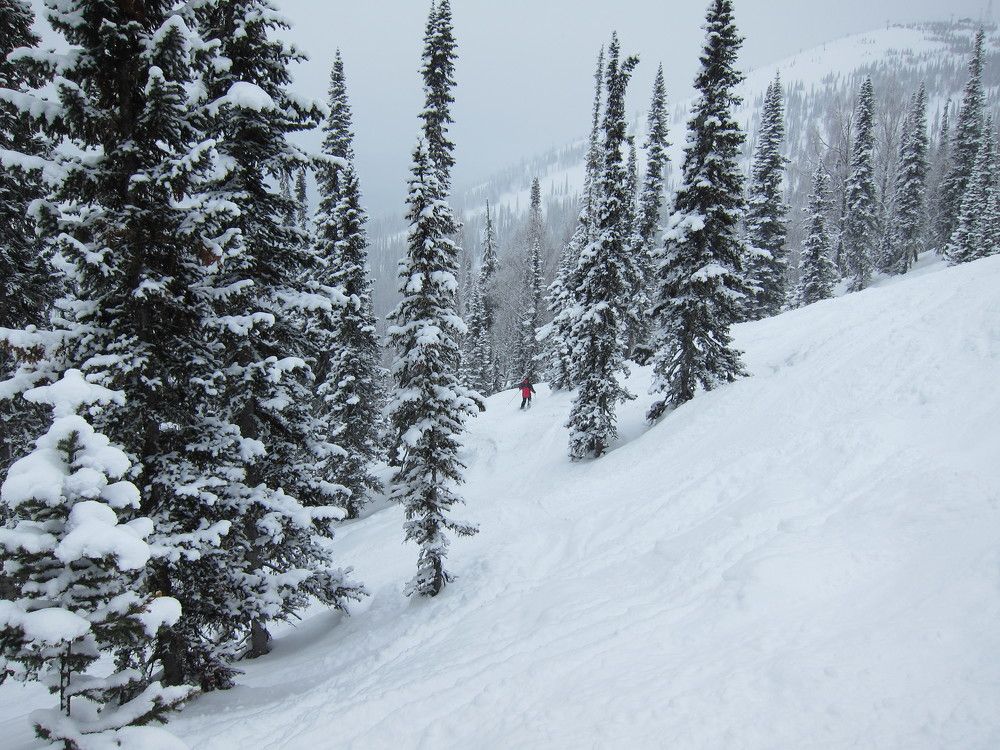 Photo #11667509
