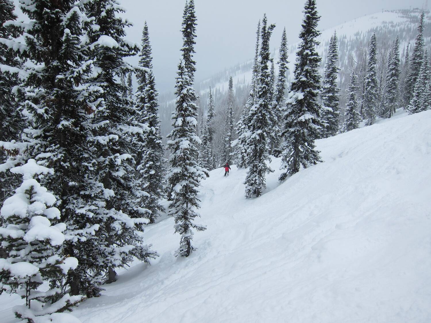 Photo #11667509
