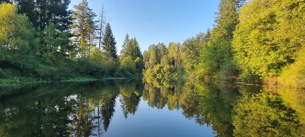 Фотография автора Марина Карасева