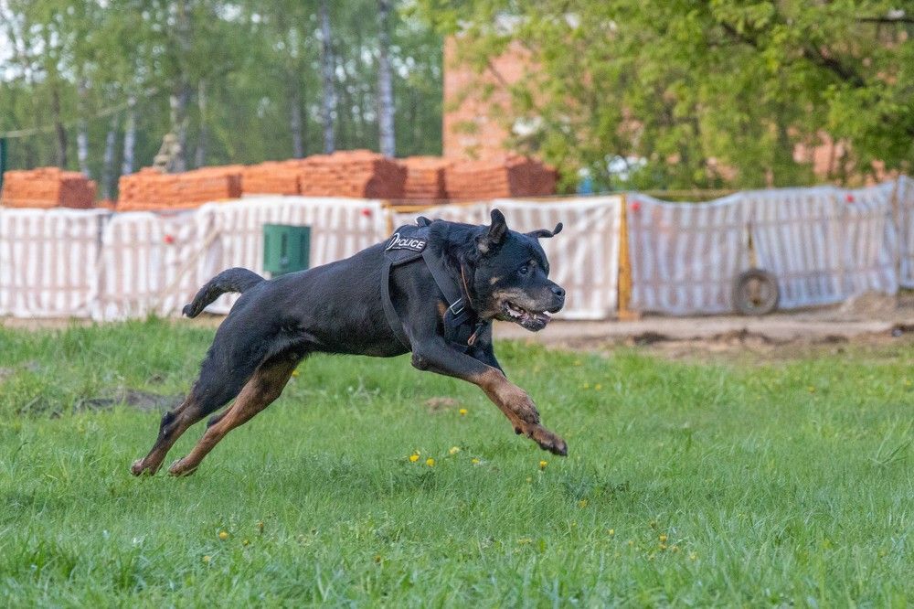 Photograph by Анастасия Занадворова