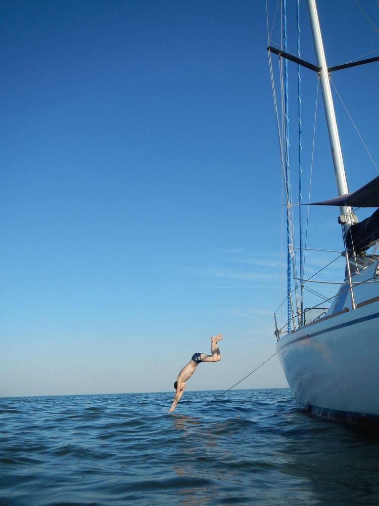 Фотография автора Светлана Зимина