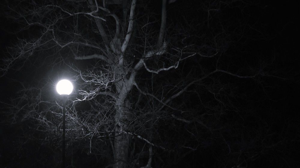 Photograph by Svitlana Zinovieva