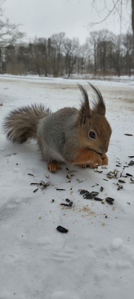 Photograph by Любовь Макарова