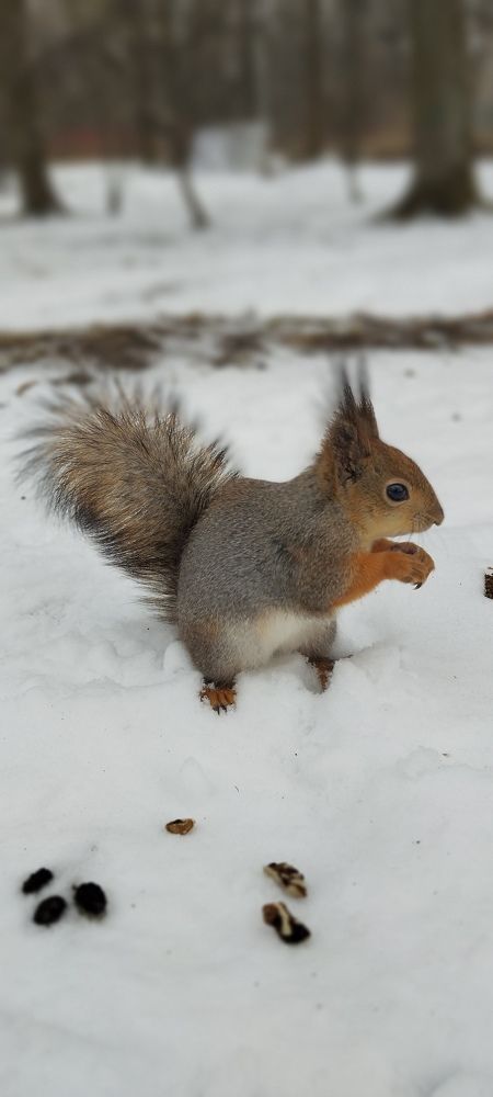 Photograph by Любовь Макарова