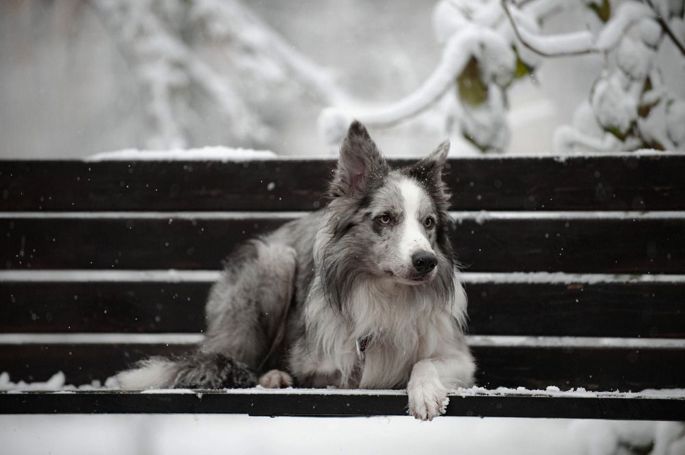 Photograph by Екатерина