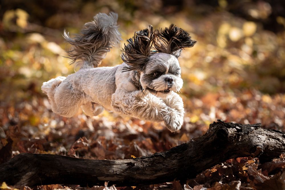 Photograph by Максимов Алексей