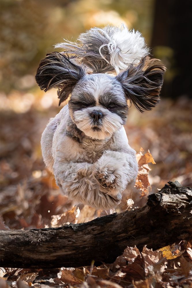 Photograph by Максимов Алексей