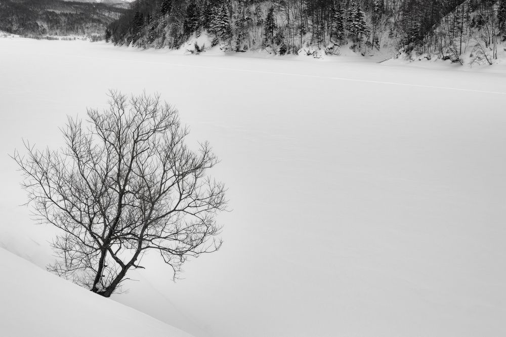 Photograph by Владимир Елькин