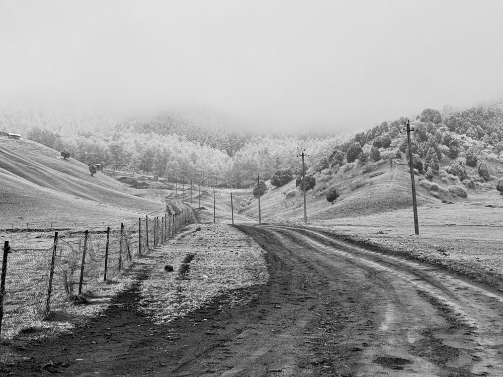 Фотография автора Алексей