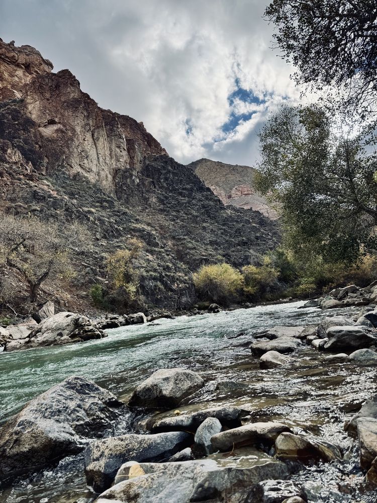 Фотография автора Алексей