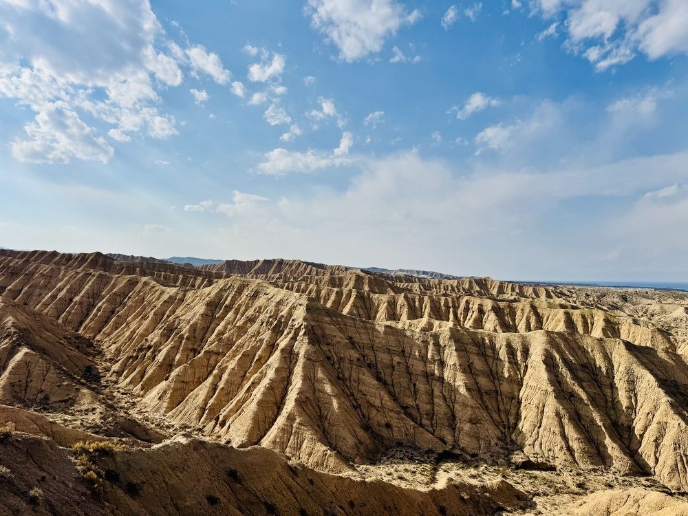 Фотография автора Алексей
