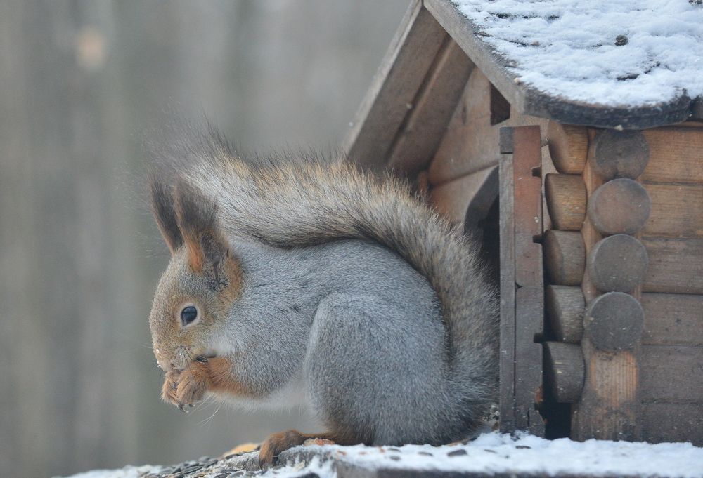 Photograph by Алексей Volg