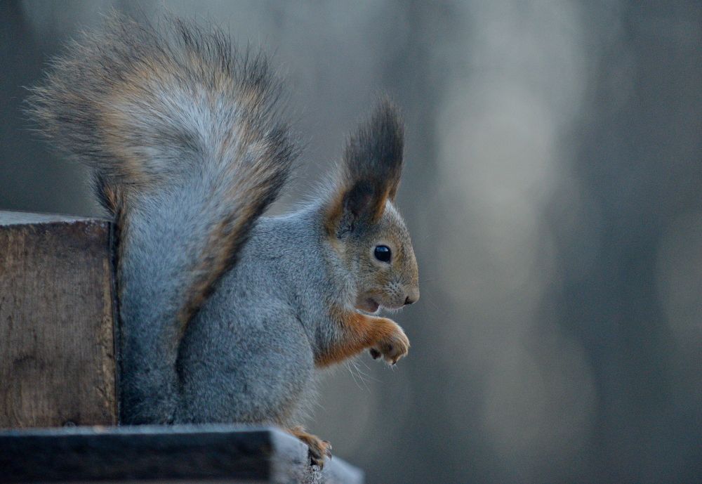 Photograph by Алексей Volg