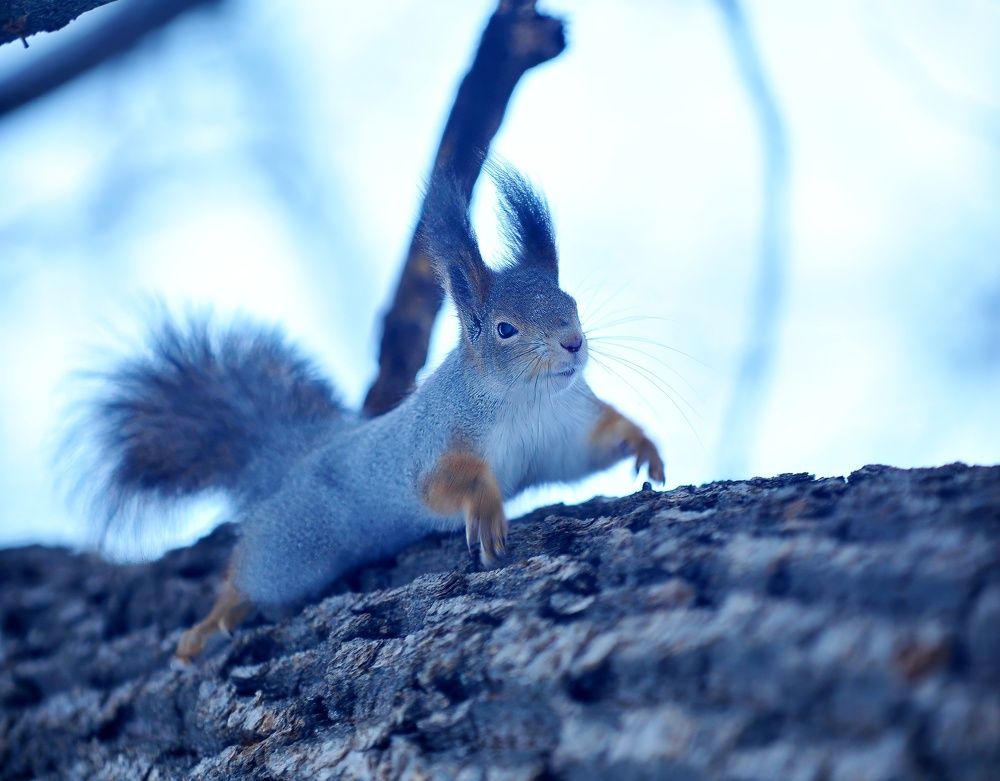 Photograph by Алексей Volg