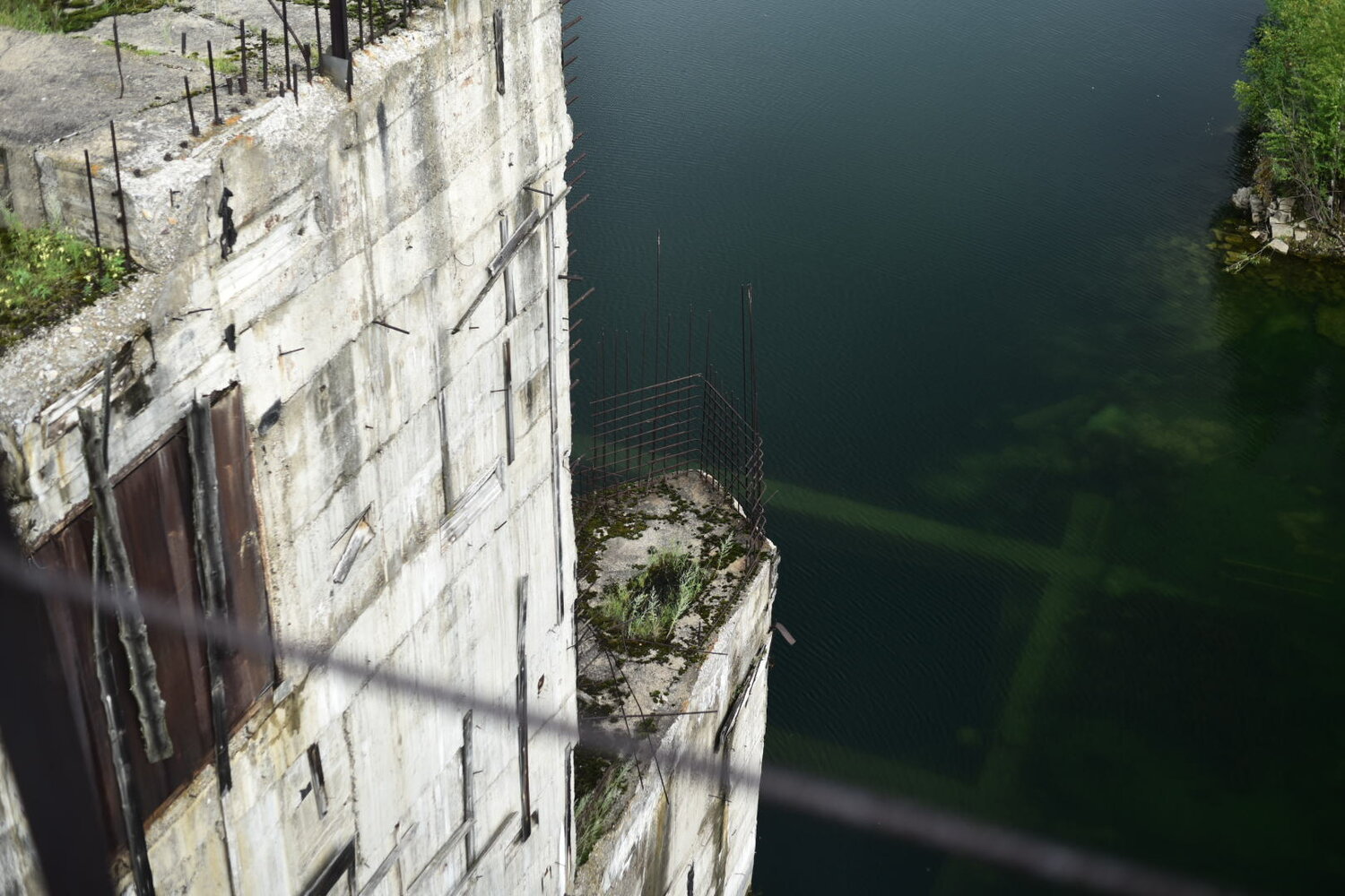 Photo #11668185