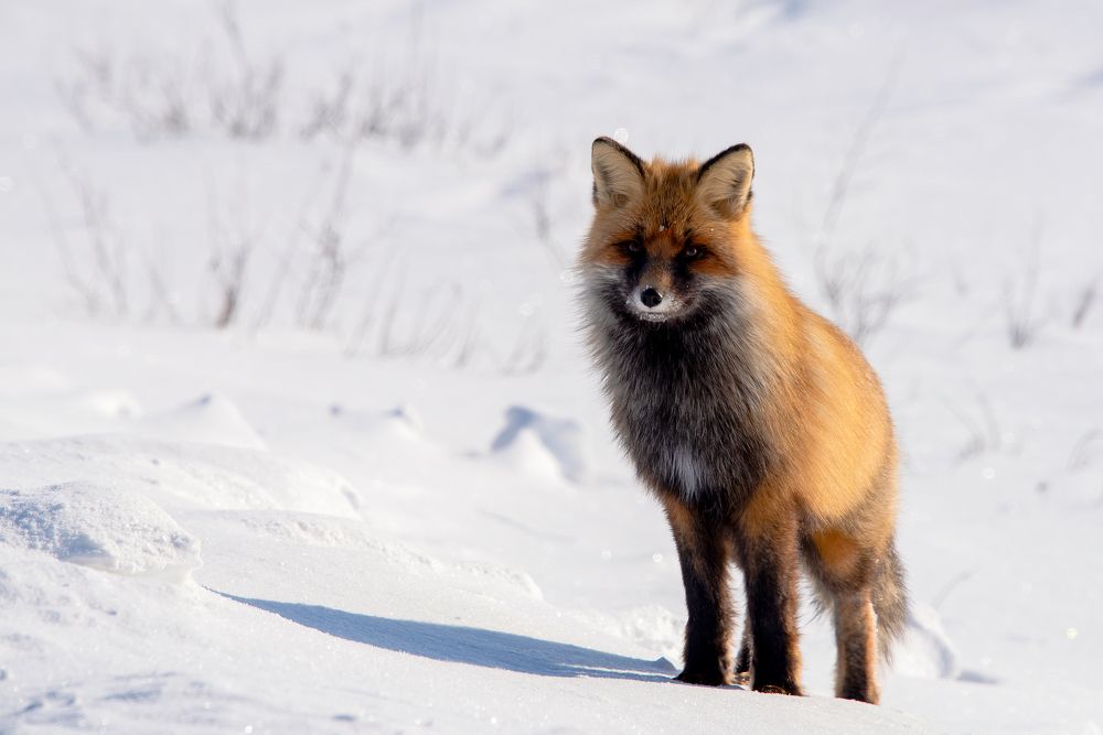 Photograph by Кадырова Марина