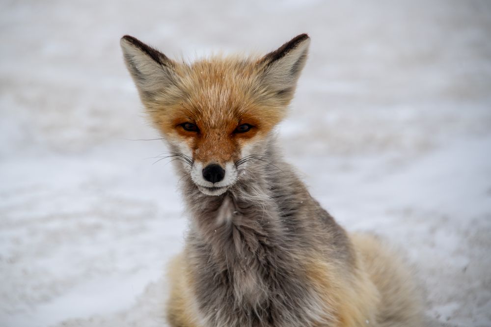 Photograph by Кадырова Марина