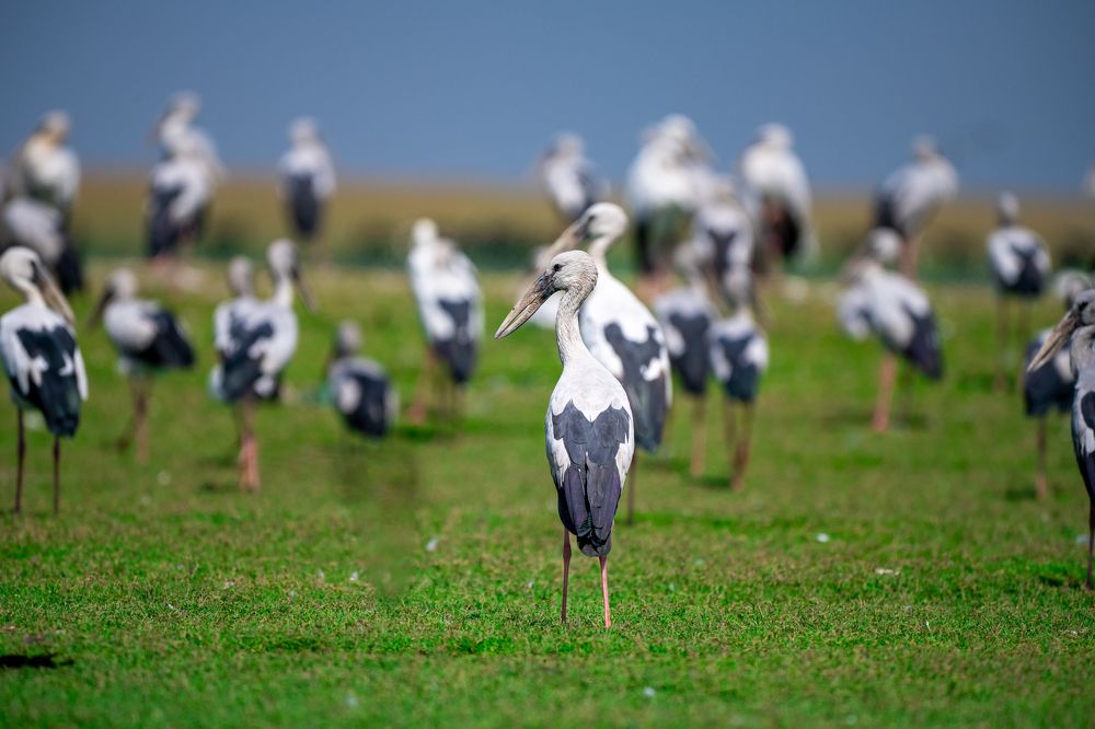 Фотография автора Kirti