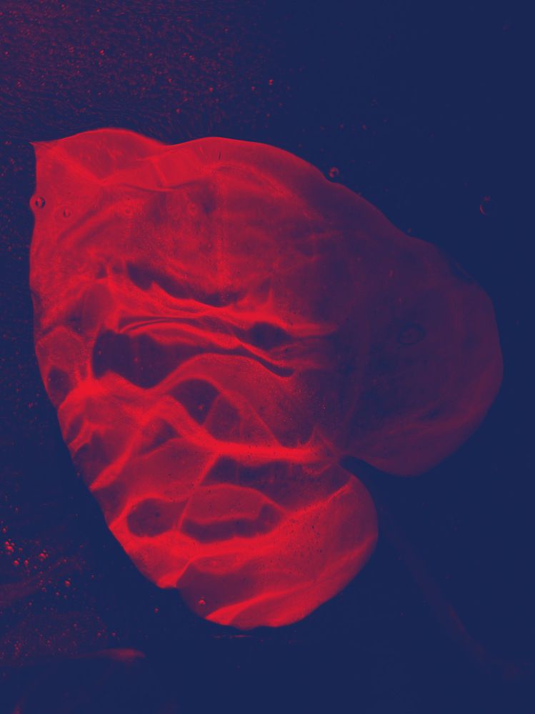 Photograph by Natalya