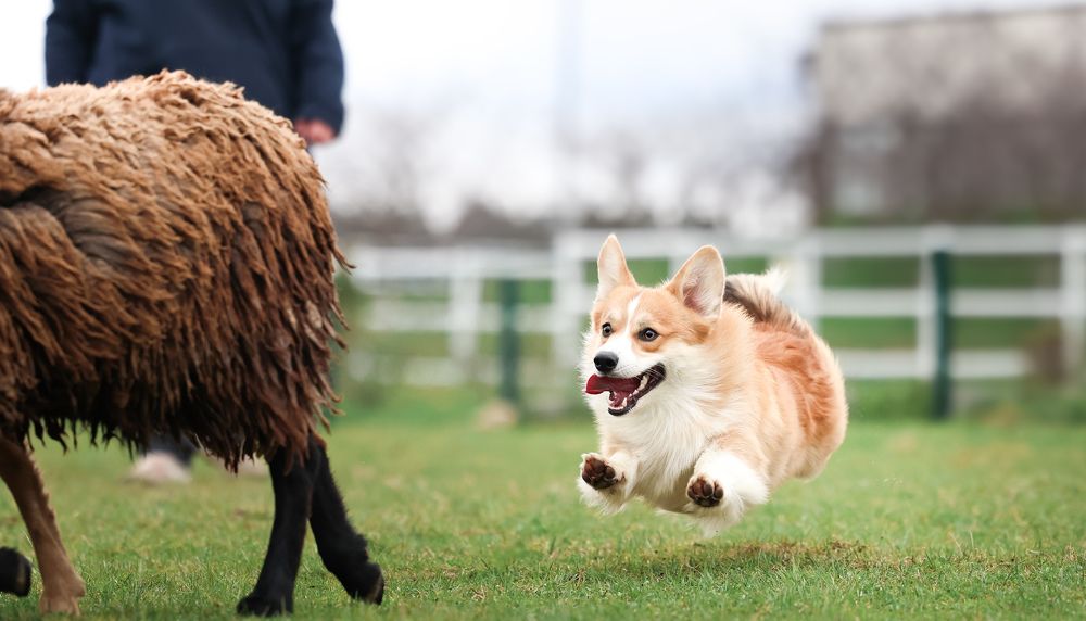 Photograph by Ксения