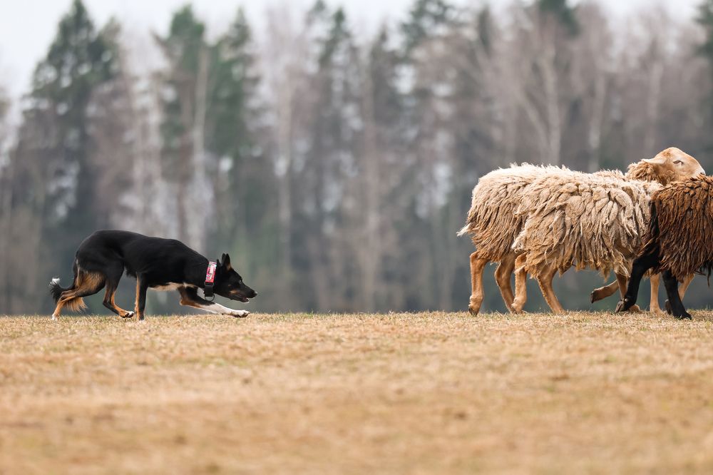 Photograph by Ксения