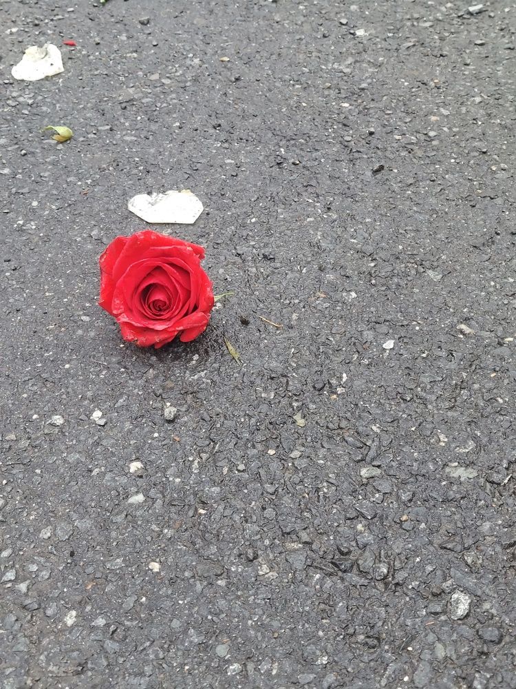 Фотография автора Adriana Rocha