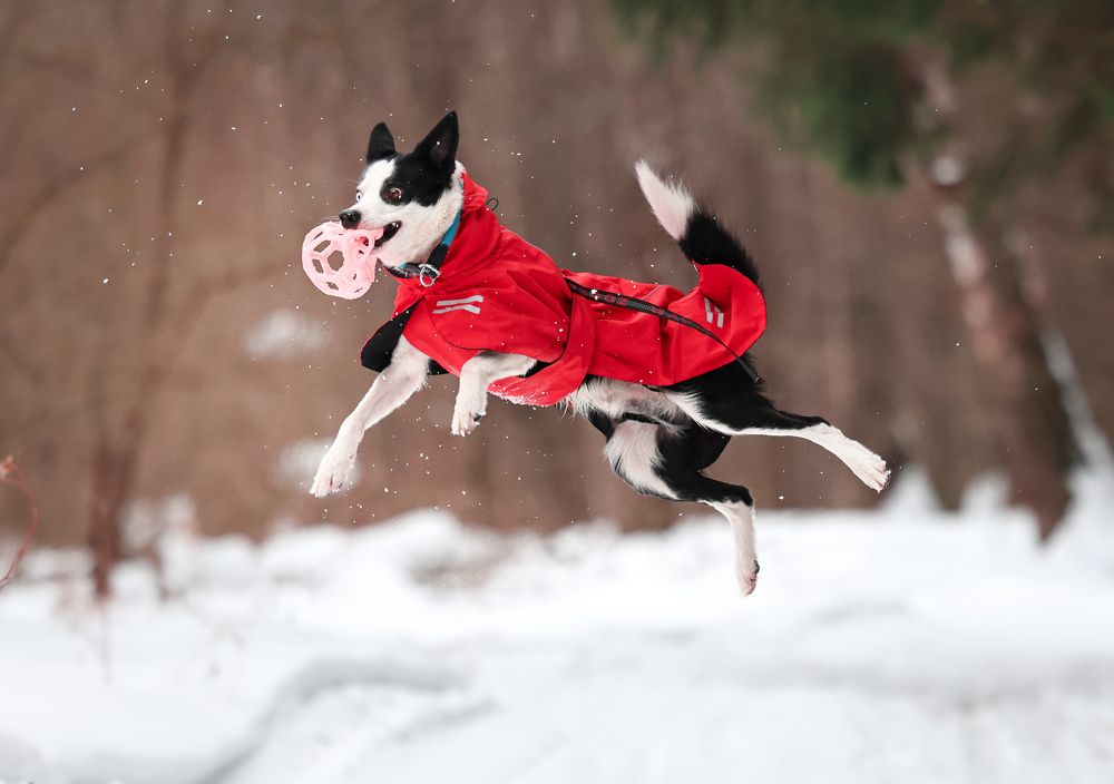 Photograph by Ксения