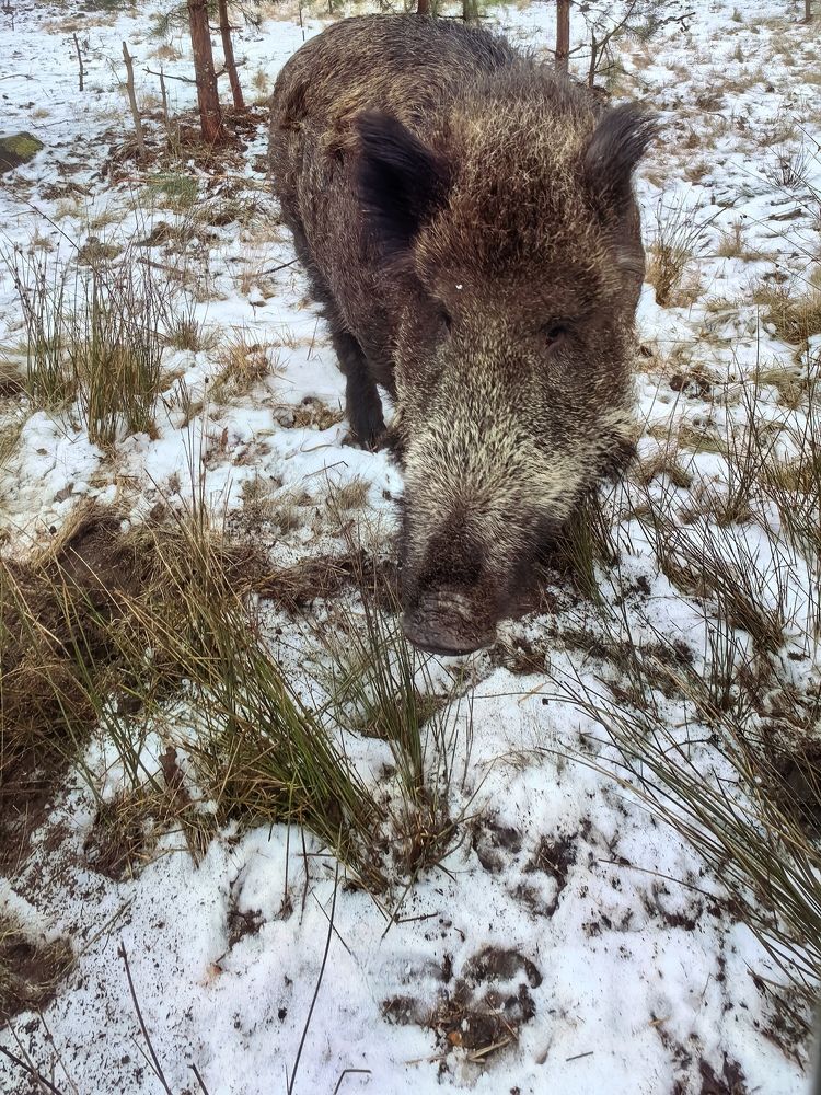 Фотография автора Марина Новикова