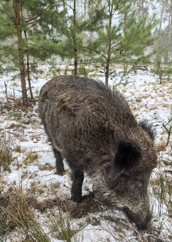 Фотография автора Марина Новикова