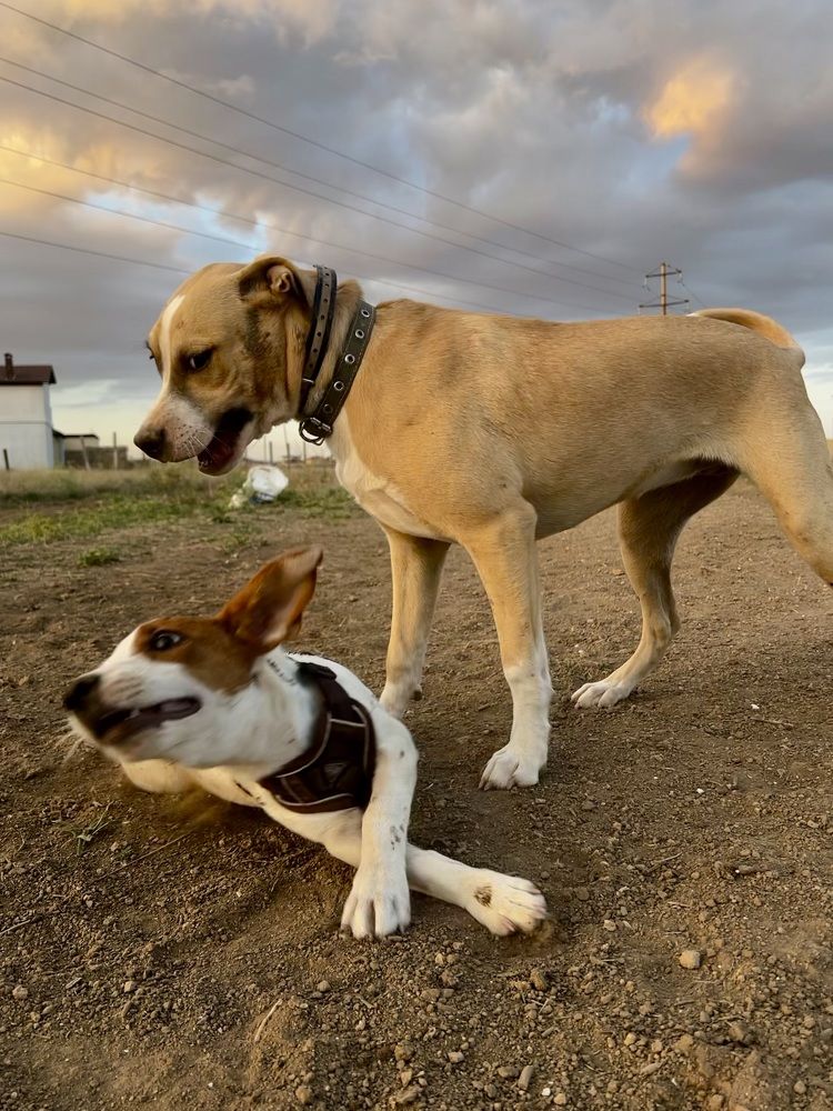 Фотография автора Мария