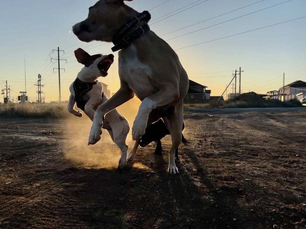 Фотография автора Мария
