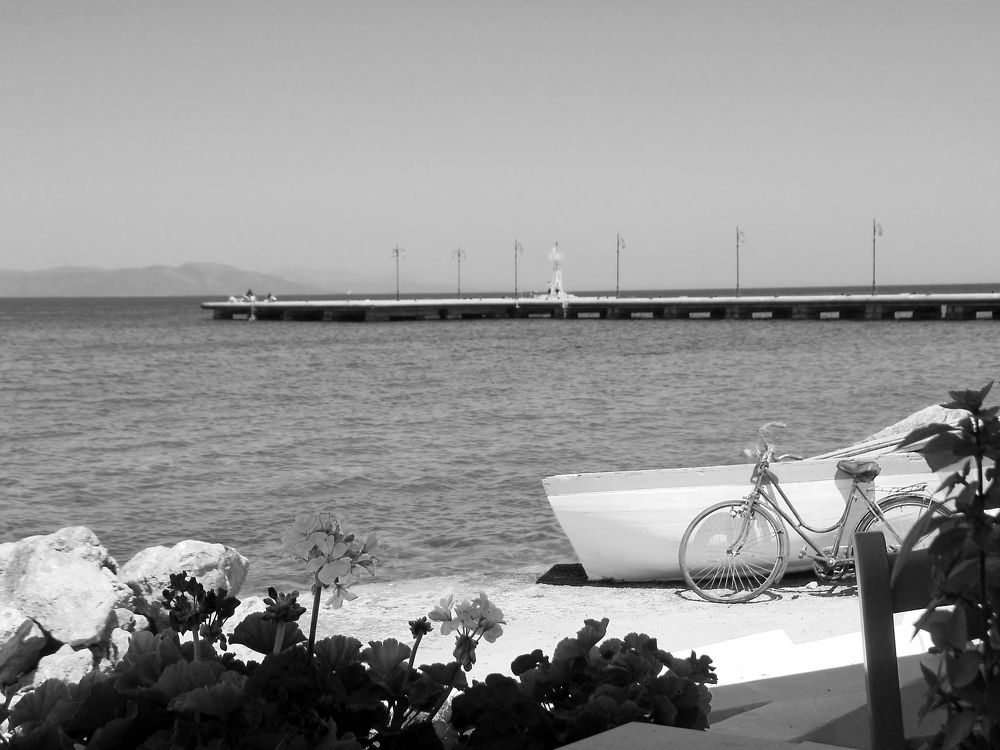 Фотография автора Юлия Сурина