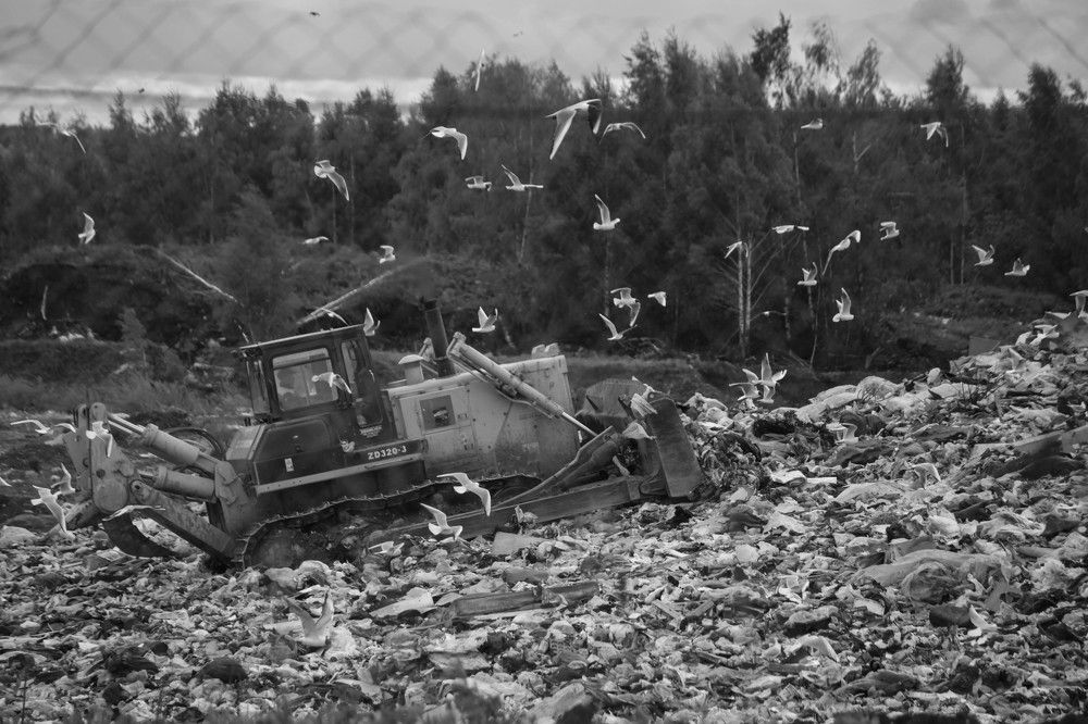 Photograph by Владислав Капанов