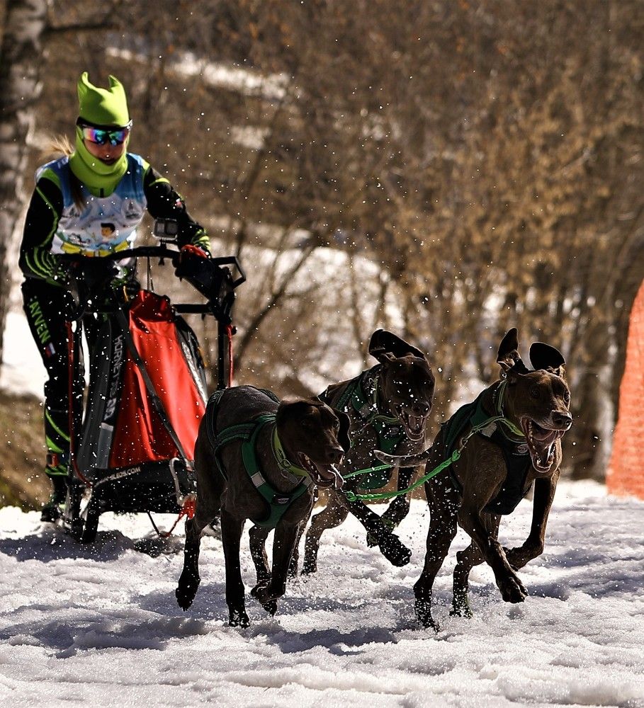 Photograph by Елена Одынец