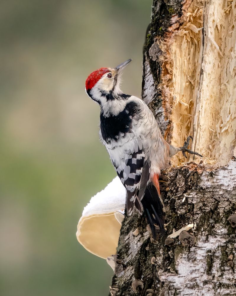 Photograph by Екатерина Дубровская