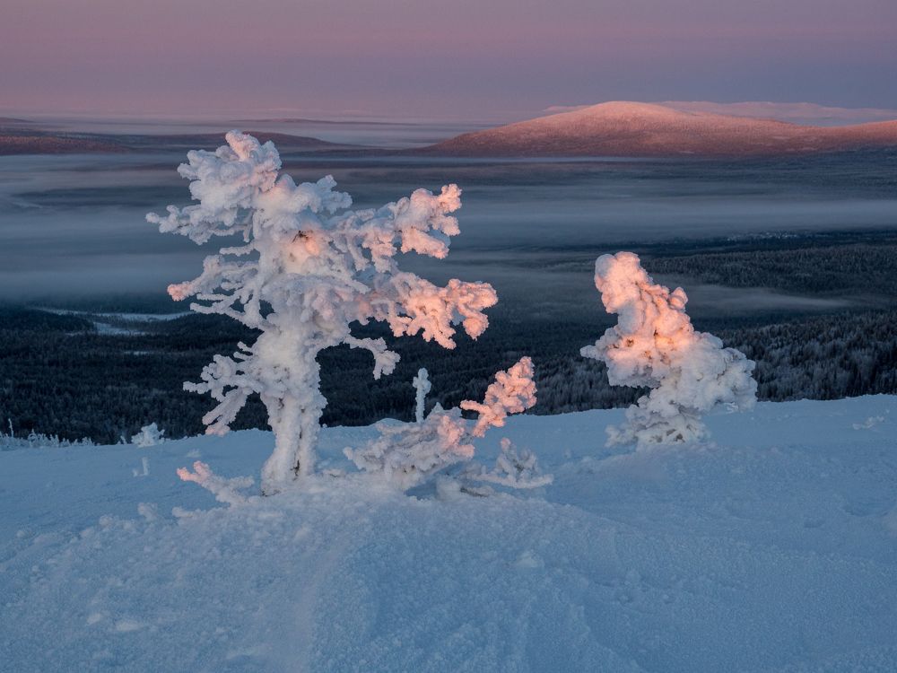 Photograph by Шейко Анна