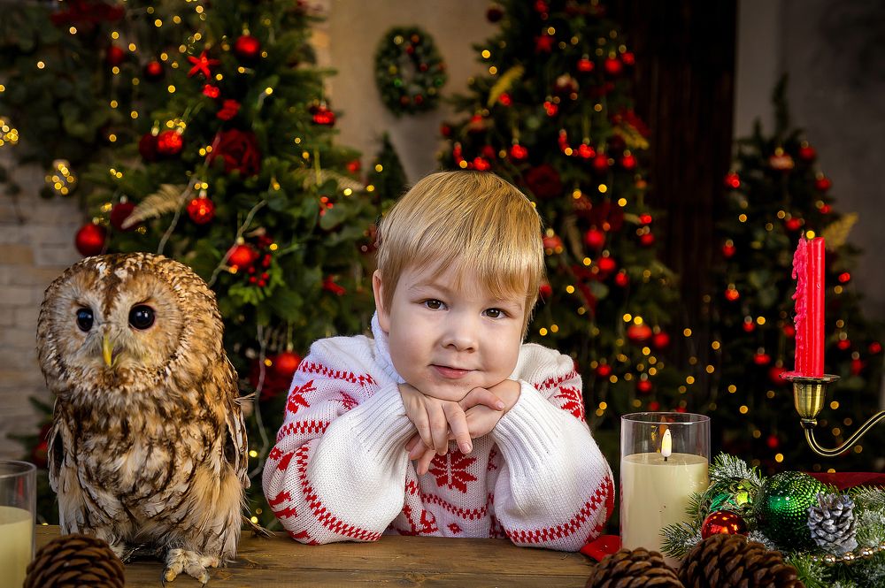 Photograph by Екатерина и Сергей Кузнецовы