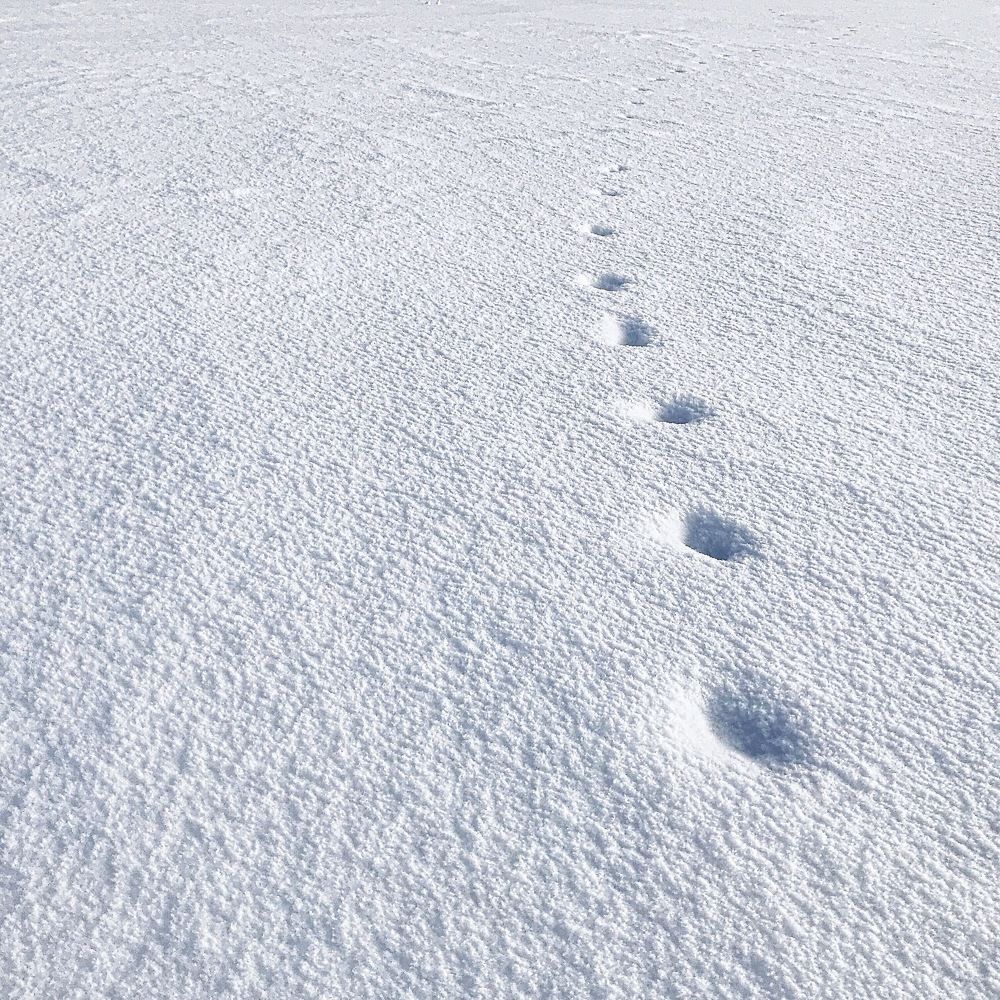 Photograph by Dina Ginevich