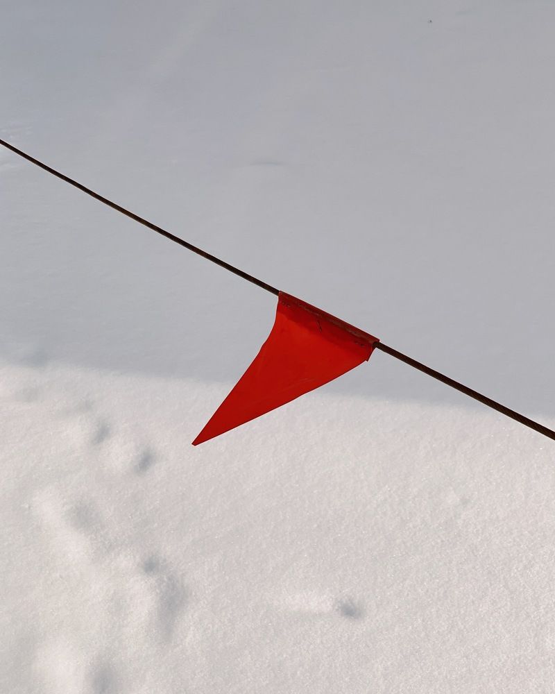 Photograph by Dina Ginevich