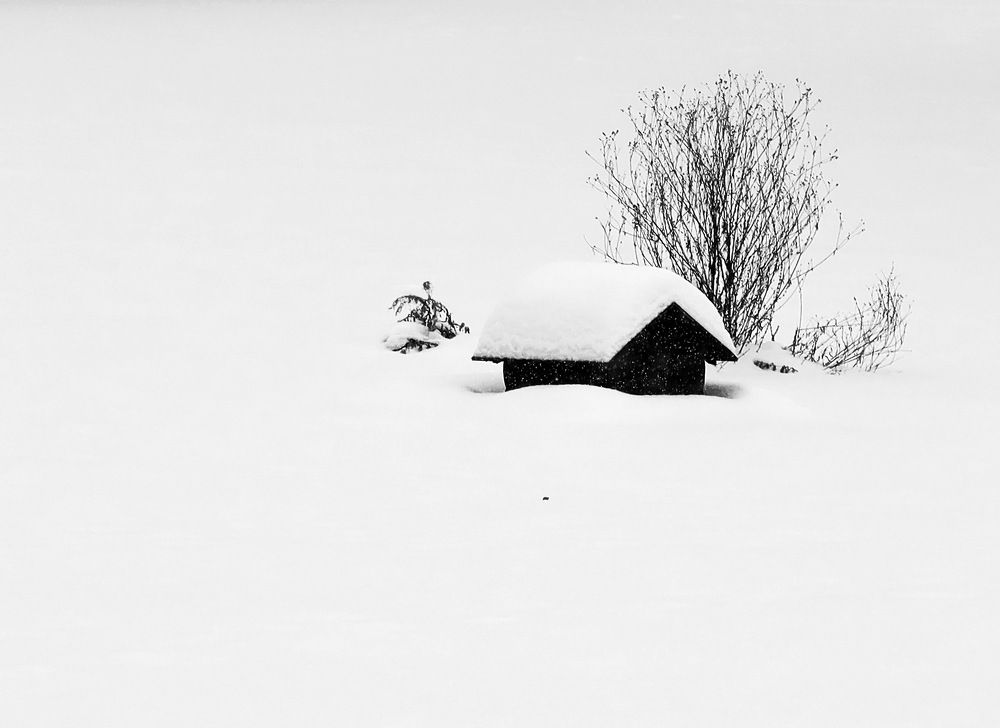 Photograph by Сергей Маслов