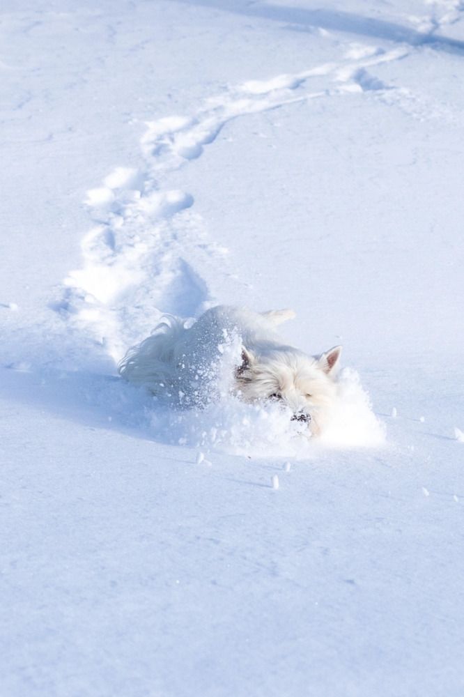 Photograph by Дарья Слонова