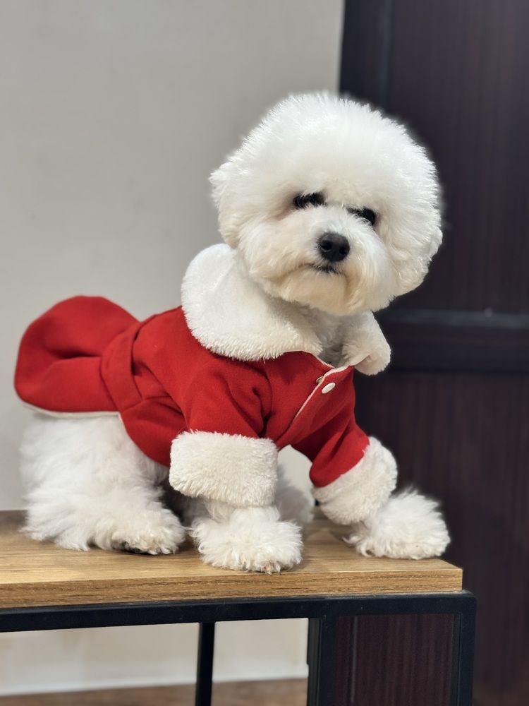 Photograph by Теймураз Батиашвили