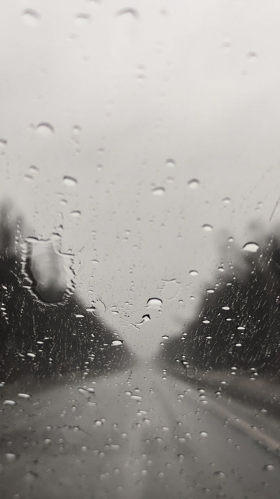 Фотография автора Васильева Ирина