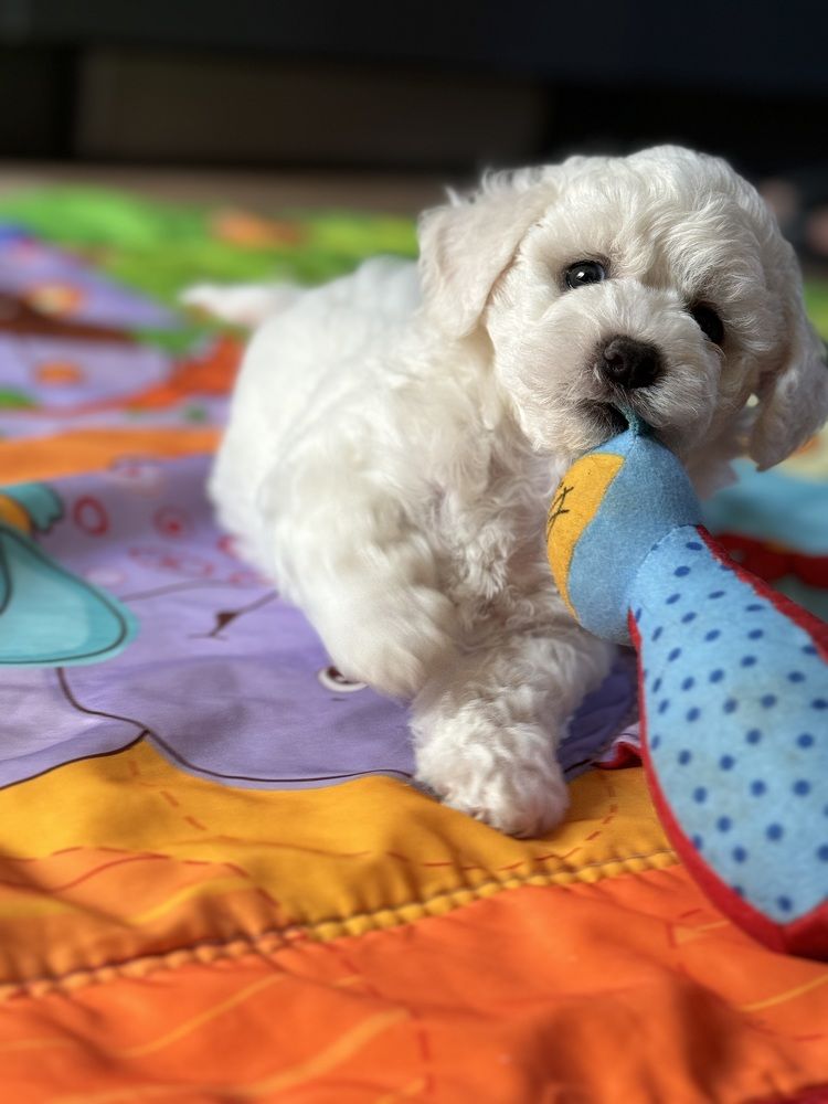 Photograph by Теймураз Батиашвили