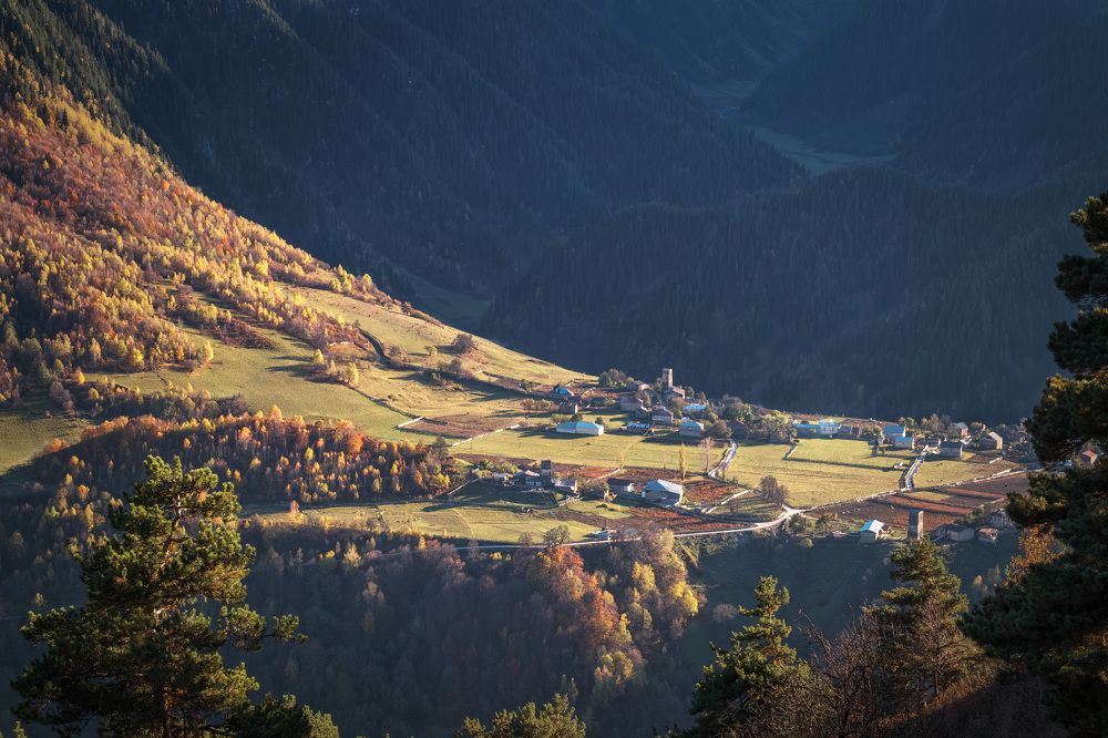Фотография автора Андрей Чиж